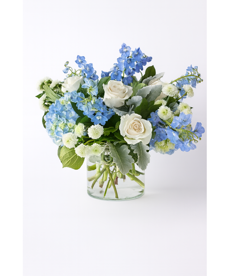 Blue Nankin