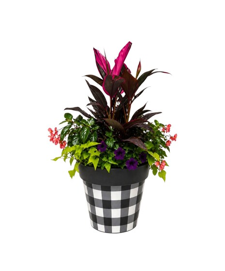 Aloha Party Pot