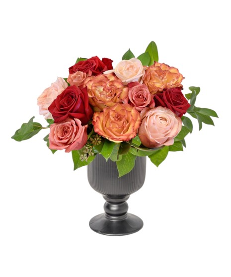 AUTUMN ROSES