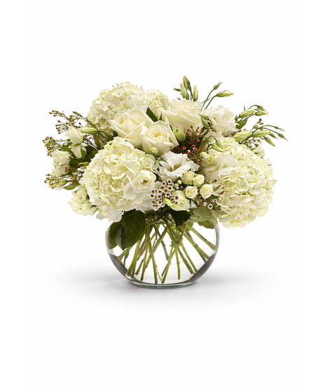 Bowl of Fresh Cut Blooming Hydrangeas