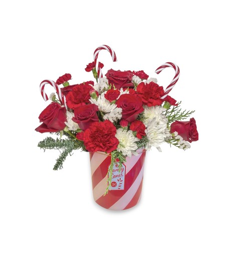 Candy Cane Lane