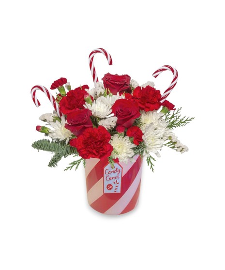 Red and white floral arrangement with roses, carnations, white mums, winter greens, and candy canes in a striped vase inspired by St. Louis Hills Candy Cane Lane lights.