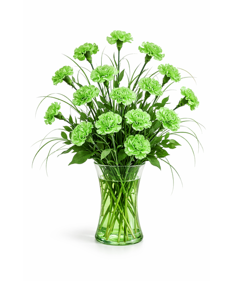 Green Carnations Bouquet