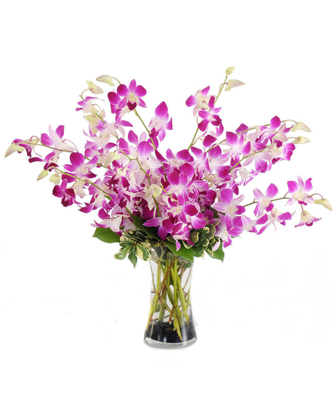 Dramatic Dendrobiums Bouquet