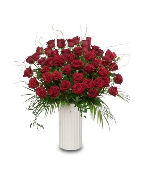 A large luxury arrangement of deep red long stem roses accented with baby’s breath and greenery, artistically arranged in a tall white vase.