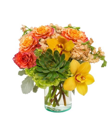 Honeycrisp arrangement with Free Spirit roses, golden cymbidium orchids, green hydrangea, peach stock, and echeveria succulent in a clear glass vase