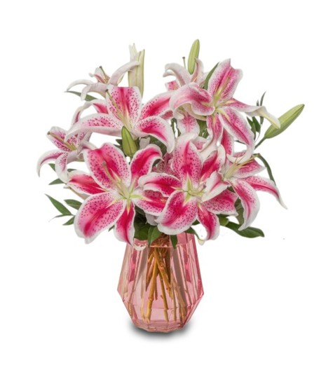 Pink Starfighter lilies arranged in a modern pink glass vase, with optional pink roses in deluxe, premium and exquisite sizes