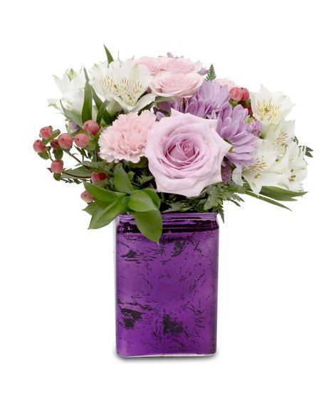 Purple Posy