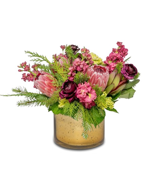 Image of Snowberry floral arrangement: Cranberry, plum, and pink flowers with mink proteas, ranunculus, pink stock, green hydrangeas in a shimmering silver cylinder