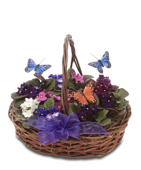 Walter Knoll Florist Blooming Basket with Violets