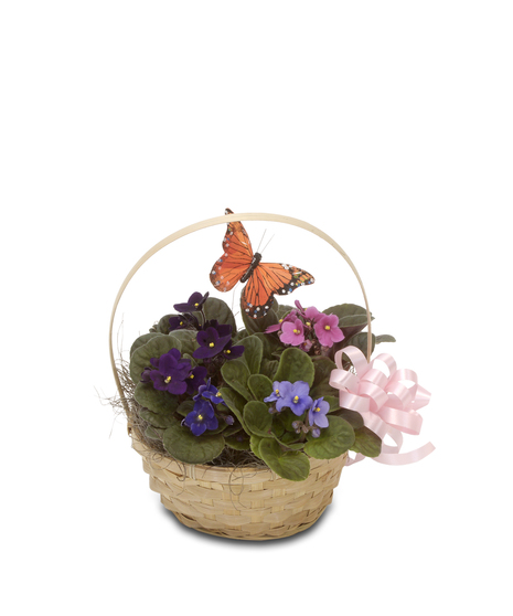 Walter Knoll Florist Blooming Basket with Violets