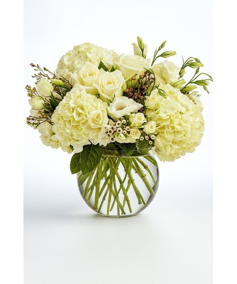 A luxurious floral arrangement of ivory roses, white hydrangeas, and lisianthus, set in a clear vase with lush greenery accents.