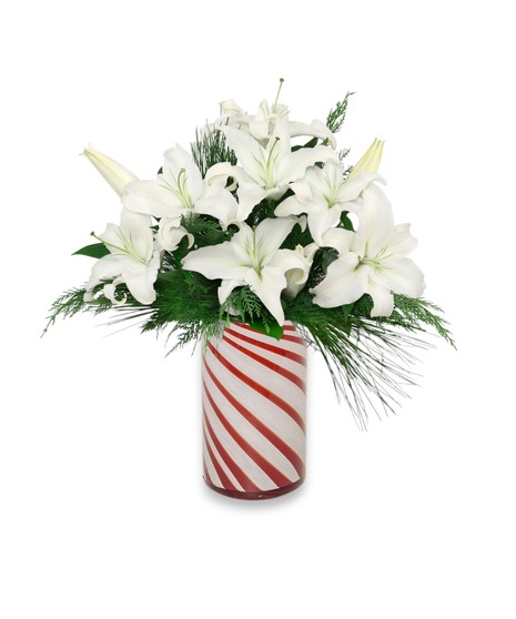 Snow Lilies features elegant white lilies and red roses with winter greens arranged in a festive peppermint-striped vase, capturing classic holiday elegance.