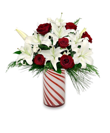 Snow Lilies features elegant white lilies and red roses with winter greens arranged in a festive peppermint-striped vase, capturing classic holiday elegance.