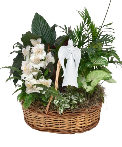 ANGEL GARDEN