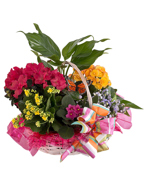 Basket of Seasonal Blooms
