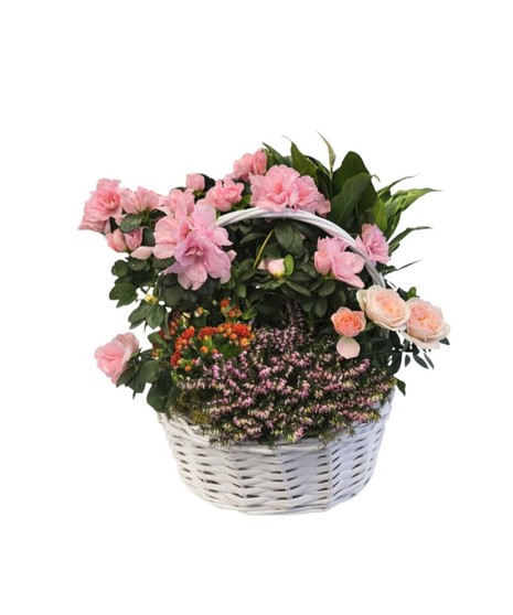 Blossoming Beauty Baskets