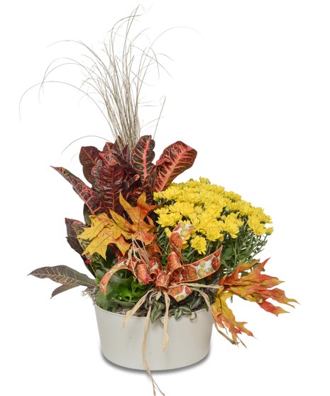 Rustic Harvest Planter