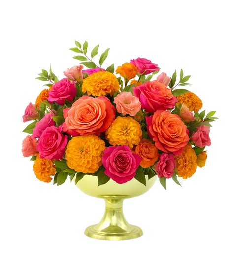 Vibrant Wishes