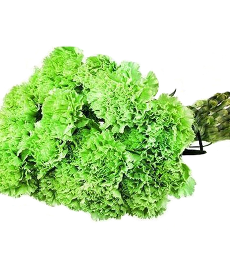 Green Carnations by the Bunch