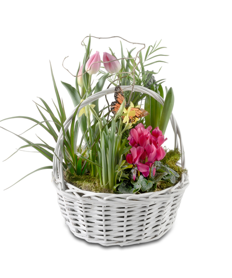 Bloom Garden Basket