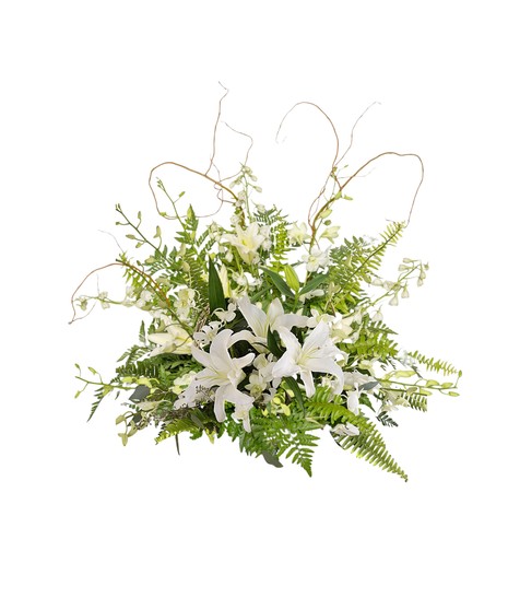 White Fan opf flowers