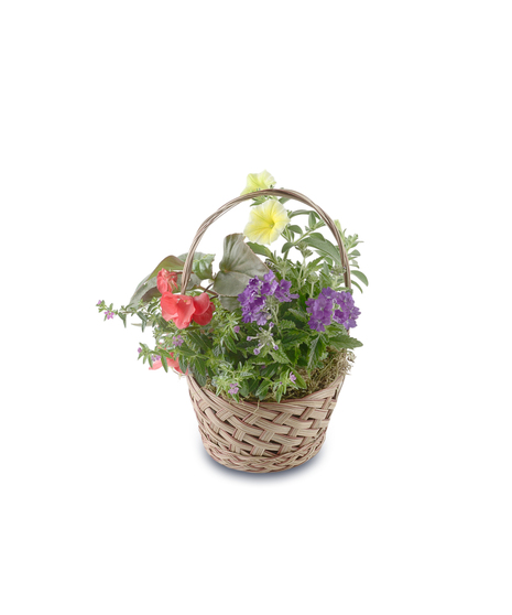 Colorful plantable garden basket with blooming annual flowers, greenery, and butterfly accent in a white handled basket, designed for transplanting outdoors