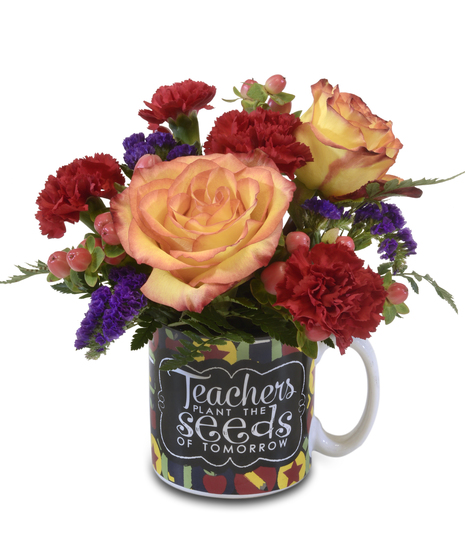 TEACHER'S MUG