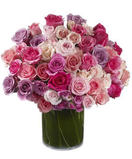 Roses