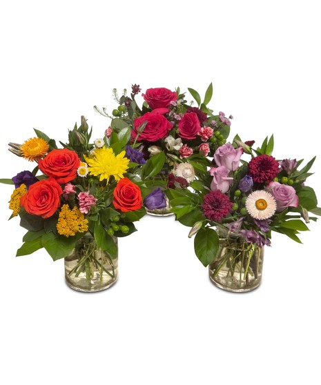 Seasonal mixed flower arrangement with three roses and fresh accent blooms in a 5-inch clear glass cylinder vase with lemon leaf greenery.