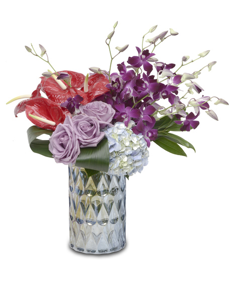 Tropical Delight - Anthuriums, Orchids, Roses & Hydrangeas