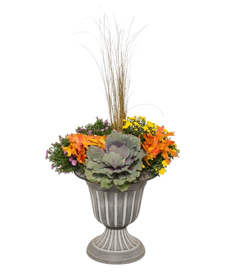 Flowering Plants