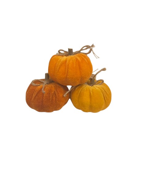 A clear box containing nine soft velvet mini pumpkins in shades of orange, gold, and brown with natural twine stems